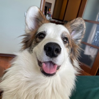 Telegram profile photo for Бедствие Бататствие