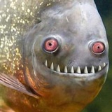 Telegram profile photo for Аквафермер