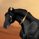 Telegram profile photo for Архив🐎