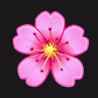 Telegram profile photo for sakura gifts