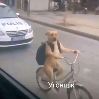 Telegram profile photo for Спирт