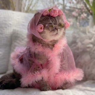 Telegram profile photo for Бьюти Блажь