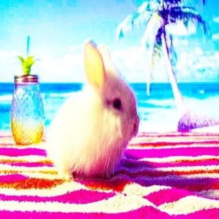 Telegram profile photo for Коробка ульянки