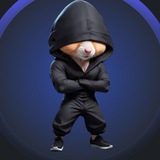 Telegram profile photo for ربــح العمــلات 🎁💸