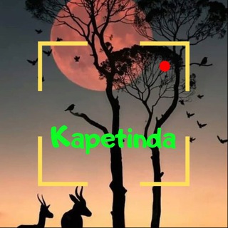 Telegram profile photo for Kapetinda
