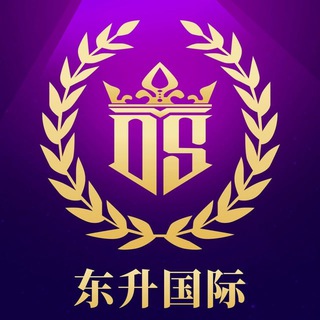 Telegram profile photo for 东升 巅峰国际 官方反馈群