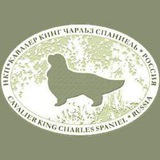 Telegram profile photo for НКП ККЧС