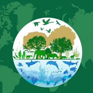 Telegram profile photo for Environmentalhealth سلامت محیط زیست