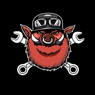 Telegram profile photo for Свин Анархии 1% moto news