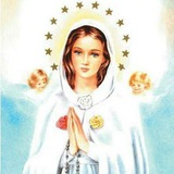 Telegram profile photo for Trezena da Rosa Mística