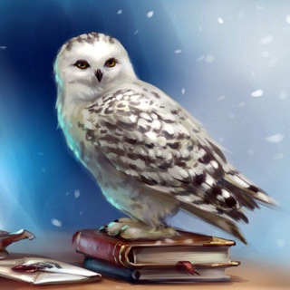 Telegram group profile photo for 💙 Real Лучший Проект 2022🔵💯💯