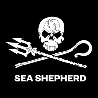 Telegram profile photo for Sea Shepherd Conservation Society on Telegram by GRT : mission is to protect and conserve the world's oceans and marine wildlife