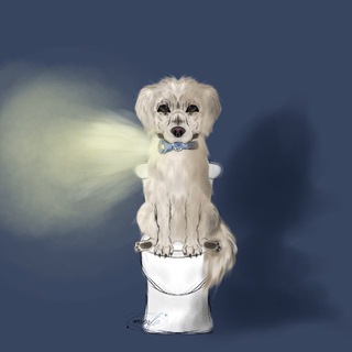 Telegram profile photo for 📹Pawdcast🐕