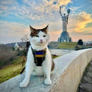 Telegram group profile photo for ЧАТ МОНІТОРИНГ КИЇВ