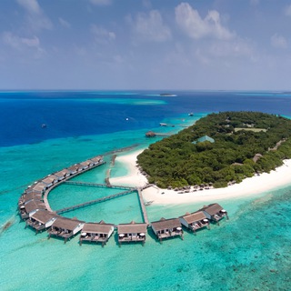 Telegram profile photo for Reethi Beach Resort. Official. RUS