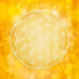 Telegram profile photo for Spirituelle Impulse