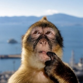 Telegram profile photo for berss afk