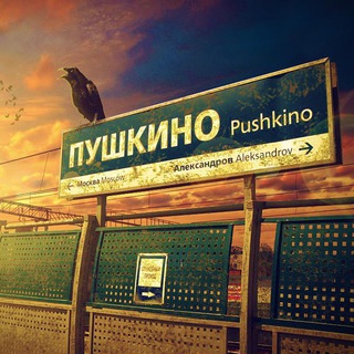 Telegram profile photo for Муниципальные будни