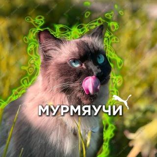 Telegram profile photo for 𝑷𝒆𝒈𝒐𝑺𝒊𝒎𝒂