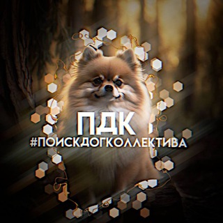 Telegram profile photo for Поиск дог коллектива / Ищу хаус