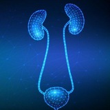 Telegram profile photo for Urine Microscopic examination
