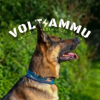 Telegram profile photo for 𝖵𝖮𝖫𝖳 𝖠𝖬𝖬𝖴 | Амуниция для собак