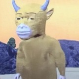 Telegram profile photo for 牛来 - Niu Lai