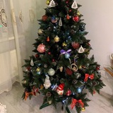Telegram profile photo for Ялинки UA🎄🎄🎄