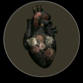 Telegram profile photo for محمود || 𝐐𝐮𝐫𝐚𝐧