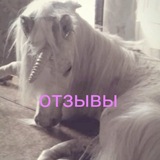 Telegram profile photo for alex_glam0 отзывы