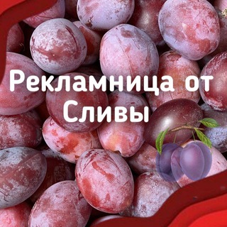 Telegram profile photo for Сливная Рекламница