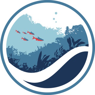 Telegram profile photo for Мир Аквариума