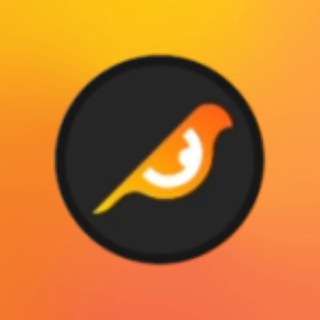 Telegram profile photo for BIRDEYE TRENDING