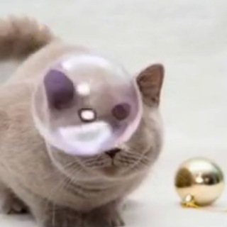 Telegram group profile photo for Шᥲуρⲙᥲ ᥴ Зуδ᧐᥊ʙ᧐ᥴᴛᥲ ( Дуρκᥲ )