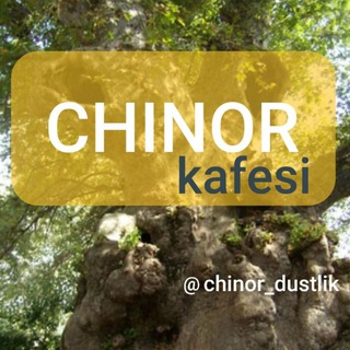 Telegram profile photo for Chinor