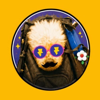Telegram profile photo for nnn