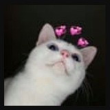Telegram profile photo for Luv
