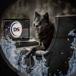 Telegram profile photo for DS TRADING π