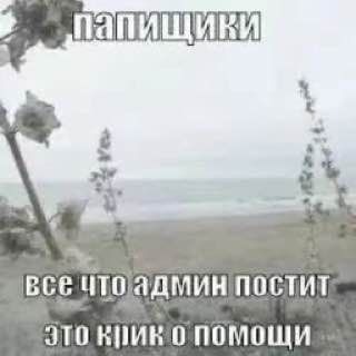 Telegram profile photo for shitpost pics confession 🌈