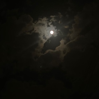 Telegram profile photo for Night