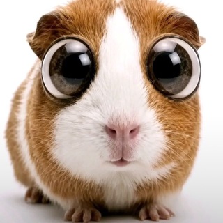Telegram profile photo for НОВИОПЫ КОСПЛЕЙ КМ НН