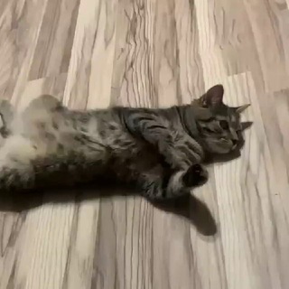 Telegram profile photo for Мои каникулы