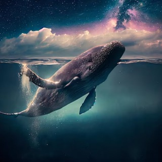 Telegram profile photo for Полезный Kit