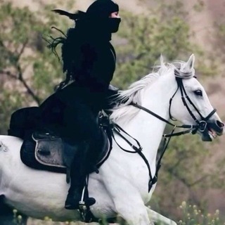 Telegram profile photo for رښتینی لاروی