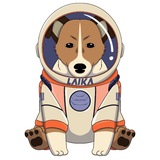 Telegram profile photo for Laika The Space Dog $LAIKA | Portal