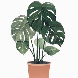 Telegram profile photo for Botanicum