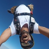 Telegram profile photo for Stunt13 "Arsha Aghdasi"