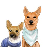 Telegram profile photo for Rescue Dog