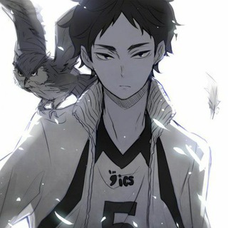 Telegram profile photo for akaashi.