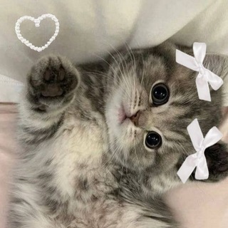 Telegram profile photo for 𝐒𝐨𝐮𝐥𝐦𝐞𝐫𝐞